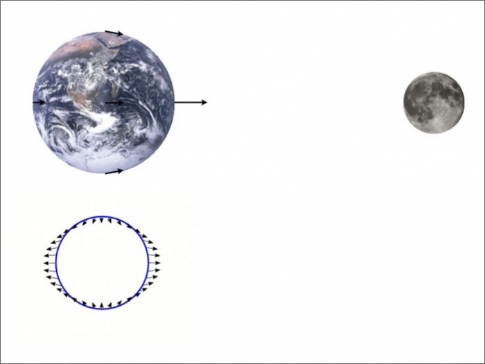 Diagram of the Moon's gravitational pull on the Earth, shows the earth as an oval shape